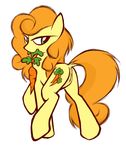  butt carrot carrot_top_(mlp) cutie_mark equine female feral friendship_is_magic green_eyes hair horse kejzfox looking_back mammal my_little_pony orange_hair pony pussy solo 