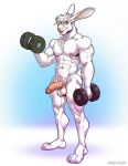  2020 abs abstract_background alvcard anthro balls barazoku bicep_curl biceps chest_tuft dumbbell ear_piercing ear_ring erection exercise genital_piercing genitals hair humanoid_genitalia humanoid_penis kihu lagomorph leporid looking_at_viewer male mammal muscular muscular_anthro muscular_male navel nipples nude pecs penis penis_piercing piercing pubes rabbit simple_background solo standing tuft weightlifting weights workout 