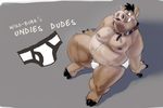  boar briefs collar donkeypunch hooves leash looking_at_viewer male mammal overweight porcine solo underwear 