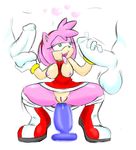  amy_rose denizen1414 sonic_team tagme 