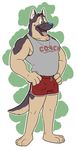  biceps blue_nose bulge canine clothing coach dog german_shepherd green_eyes hands_on_hips male mammal muscles panting pecs plantigrade shirt shorts sleeveless_shirt sofakinggood solo standing tank_top tongue tongue_out whiskers whistle 