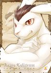  fur kemo_coliseum lagomorph male mammal null-ghost portrait rabbit solo video_games white_fur 