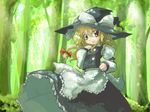  blonde_hair forest kirisame_marisa nature neki-t solo touhou 