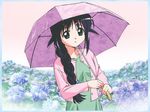  andou_mahoro black_hair braid cardigan flower garden green_eyes hydrangea mahoromatic solo takamura_kazuhiro umbrella wallpaper 