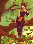  areri belt black_eyes black_hair choker collarbone food fruit headband in_tree jojo_no_kimyou_na_bouken leaf male_focus narancia_ghirga orange sitting sitting_in_tree solo tree vento_aureo wristband 