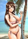  :o amamiya_atsushi beach bikini bikini_pull breasts brown_eyes brown_hair cleavage covered_nipples dripping highres hose huge_breasts konbini_dmz konbini_dmz_plus! long_hair navel nipples ocean one_breast_out outdoors palm_tree pink_bikini pulled_by_self sao_satoru side-tie_bikini solo swimsuit tree water 