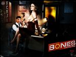  bones david_boreanaz emily_deschanel fakes seeley_booth temperance_brennan 