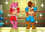  abs amy_rose big_breasts blue_eyes boxer boxing boxing_gloves breasts clothed clothing female fight fighter fighting_ring green_eyes grin half-dressed hedgehog jmynstyx mammal nipples rodent sally_acorn sega shorts smile sonic_(series) sonic_team teeth topless 