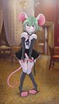  collar crossdressing embarrassed erection girly green_hair hair kailys leash maid maid_uniform male mammal mouse penis rodent solo standing 
