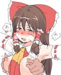  reimu_hakurei tagme touhou 