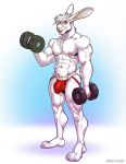  2020 abs abstract_background alvcard anthro barazoku bicep_curl biceps bulge chest_tuft clothing dumbbell ear_piercing ear_ring exercise hair jockstrap kihu lagomorph leporid looking_at_viewer male mammal muscular muscular_anthro muscular_male navel nipples pecs piercing rabbit simple_background smile solo standing tuft underwear weightlifting weights workout 