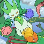  porkyman rayquaza roselia tagme 