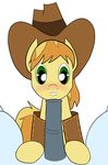  animated braeburn friendship_is_magic my_little_pony sillyfilly soarin 