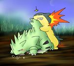  porkyman tagme typhlosion tyranitar 