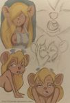  chip_&#039;n_dale_rescue_rangers gadget_hackwrench tagme vylfgor 