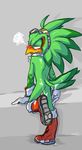  jet_the_hawk nyowa sonic_team tagme 