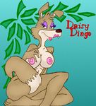  blinky_bill daisy_dingo tagme 