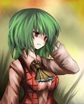  adjusting_hair ascot bad_id bad_pixiv_id breasts green_hair kazami_yuuka large_breasts plaid plaid_skirt plaid_vest red_eyes short_hair skirt skirt_set solo touhou upper_body vest wasabi_karasi 