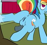  clopper-dude friendship_is_magic my_little_pony rainbow_dash tagme 