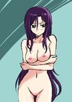  1girl blush breasts green_eyes long_hair nipples nude original purple_hair sketch solo very_long_hair wox 