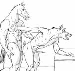  anal_penetration anthro balls bent_over black_and_white boar duo equine from_behind furronika gay horse male mammal monochrome multi_nipple nipples penetration penis pig porcine too_deep 