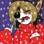  black_nose canine dog female mammal sneeze snow snowing tesxacoyote 