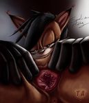  nicole_the_lynx sonic_team squirrel_amazing tagme 