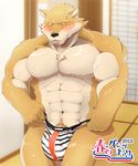  2012 abs anthro balls biceps black_nose bleach blush brown_fur bulge canine chest_tuft clothed clothing debirobu fangs fur half-dressed inside komamura_sajin male mammal muscles pecs penis pose sajin_komamura shinigami solo speedo standing sweat swimsuit tan_fur teeth toned topless tuft wolf yellow_eyes 