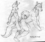  anal_penetration balls black_and_white canine cum cum_while_penetrated dog fox gay hands-free husky male mammal monochrome muscles nudog orgasm penetration penis size_difference small_dom_big_sub 