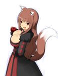  animal_ears apple breasts cosplay fang food fruit highres holo hu_sea koshimizu_ami large_breasts long_hair maou_(maoyuu) maou_(maoyuu)_(cosplay) maoyuu_maou_yuusha open_mouth seiyuu_connection spice_and_wolf tail wolf_ears wolf_tail 