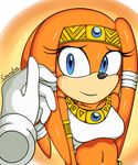  canastus caress caressing echidna female glove hair jewelry looking_at_viewer petting plain_background sega sonic_(series) tikal_the_echidna transparent_background 