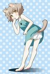  animal_ears bloomers dog_ears mattaku_mousuke original paws solo tail underwear 