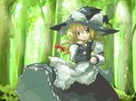  apron blonde_hair bow braid brown_eyes forest hair_bow hat kirisame_marisa looking_at_viewer nature neki-t plant puffy_short_sleeves puffy_sleeves red_bow short_sleeves single_braid solo touhou tree waist_apron witch_hat 