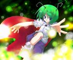  antennae fireflies fuji_tooya green_hair short_hair solo touhou wriggle_nightbug 