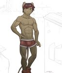  biceps brown_fur bulge clothed clothing fur green_eyes hair half-dressed male mammal mouse muscles nipple_piercing nipples pecs piercing red_hair rodent shoes smile solo superslickslasher teeth topless underwear 
