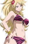  fairy_tail jenny_realight swimsuits transparent_png vector_trace 