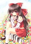  ascot bad_id bad_pixiv_id black_hair bow detached_sleeves flower hair_bow hair_tubes hakurei_reimu long_hair mary_janes pink_eyes shoes sitting skirt smile solo tetsu_tissue touhou very_long_hair 