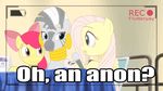  apple_bloom_(mlp) blue_eyes cub cutie_mark deannart dialog ear_piercing equine female feral fluttershy_(mlp) friendship_is_magic hair horse mammal microphone my_little_pony piercing pink_hair pony recording sitting table text young zamora zebra zecora_(mlp) 