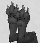  ambiguous_gender big_feet claws digitigrade dragon foot_focus hindpaw nephis paws plain_background scalie soles toes white_background wolfbird 