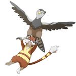  bird pokemon tagme unfezant watchog 