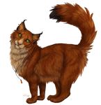  ambiguous_gender black_ears cat deyvarah feline feral fur green_eyes mammal necklace orange_fur simple_background whiskers 