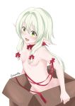  aisoretto box breasts convenient_censorship elf eyelashes female goblin_slayer green_eyes hair hair_covering_breasts hair_ribbon high_elf_archer humanoid in_box not_furry nude open_mouth pointy_ears ribbons solo 