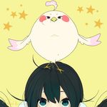  animal animal_on_head artist_name bad_id bad_pixiv_id bird bird_on_head black_hair blue_eyes dera_mochimazzui face hair_ornament kitashirakawa_tamako looking_up on_head signature solo star tamako_market tokai_kuma twintails 