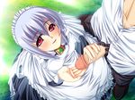  1girl blush collar cum game_cg goshujinsama_daisuki handjob kuu_spitfire maid penis red_eyes short_hair silver_hair smile uncensored 