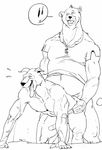  all_fours anal anal_penetration anthro bear biceps canine doggystyle duo from_behind furronika gay male mammal muscles nipples pecs penetration sex vein 