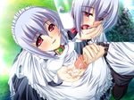  1girl blush collar cum game_cg goshujinsama_daisuki handjob kuu_spitfire maid penis red_eyes short_hair silver_hair smile uncensored 