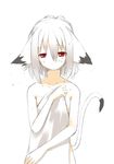  animal_ears cat_ears cat_tail covering flat_chest looking_at_viewer majima_yuki nude nude_cover original red_eyes short_hair simple_background solo tail wet white_background white_hair 