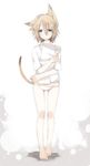  animal_ears brown_hair cat_ears cat_tail looking_at_viewer majima_yuki no_pants original panties shirt simple_background solo t-shirt tail underwear white_background 