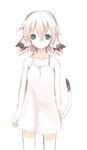  animal_ears copyright_request flat_chest looking_at_viewer majima_yuki short_hair simple_background solo tail white_background 