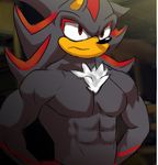  angry anthro biceps chest_tuft frown fur hedgehog male mammal muscles pecs pose red_eyes sega shadow_the_hedgehog solo sonic_(series) tuft unknown_artist 